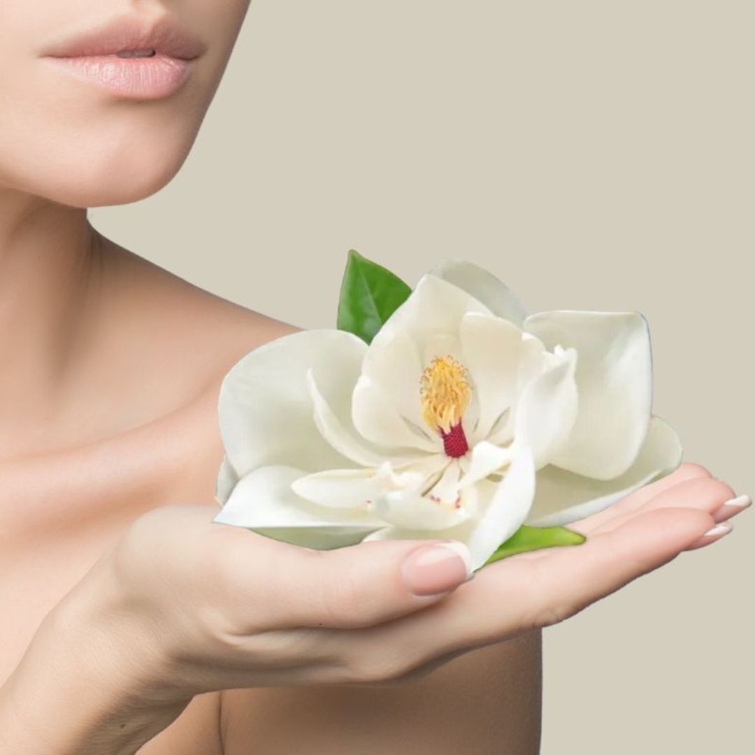 Magnolia Bark Extract: What It Is, and Why We Love It