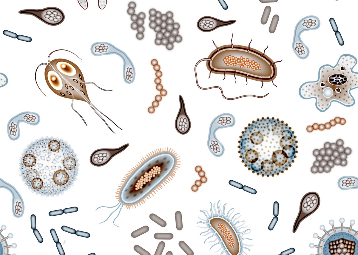 Illustration of microbes and bacteria in many shapes
