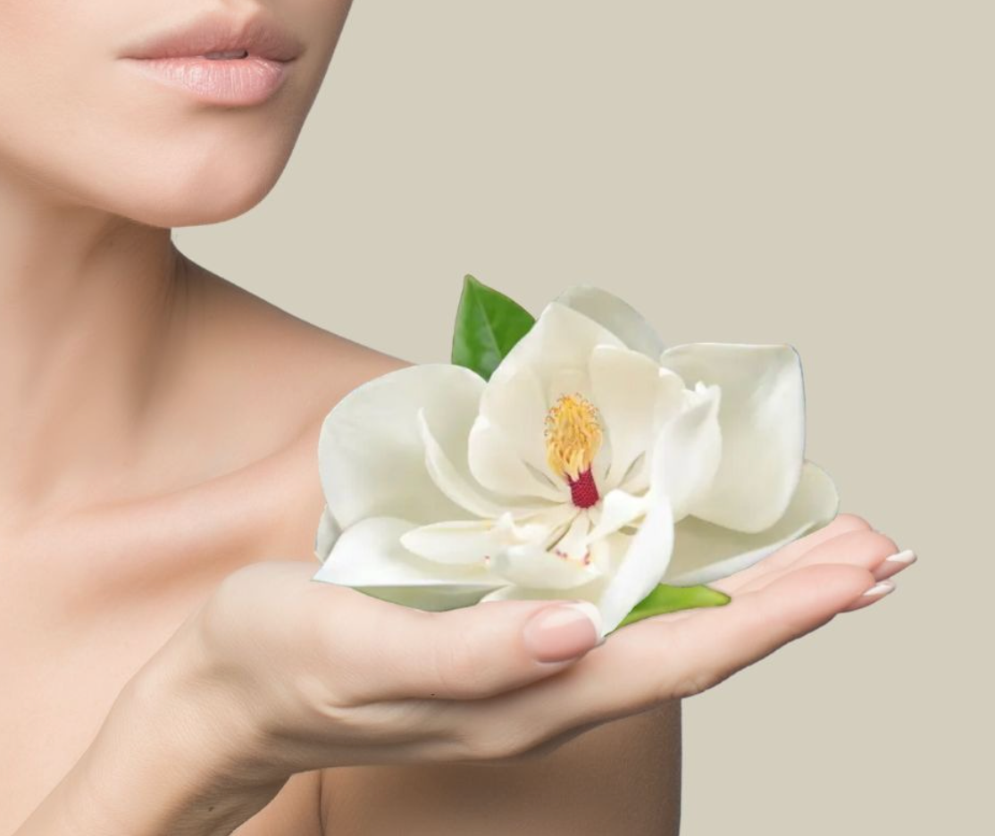 Hand holding a white magnolia blossom against a soft neutral background
